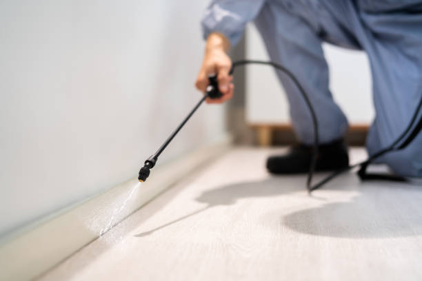 Professional exterminator conducting IPM assessment in Wadena